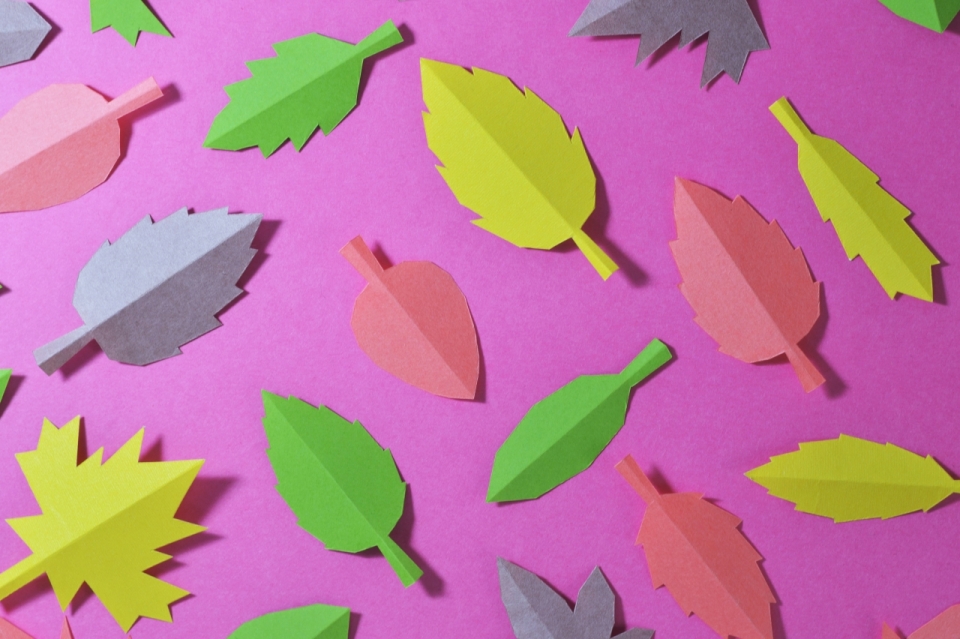 纯色背景各种颜色卡纸剪成不同的树叶形状