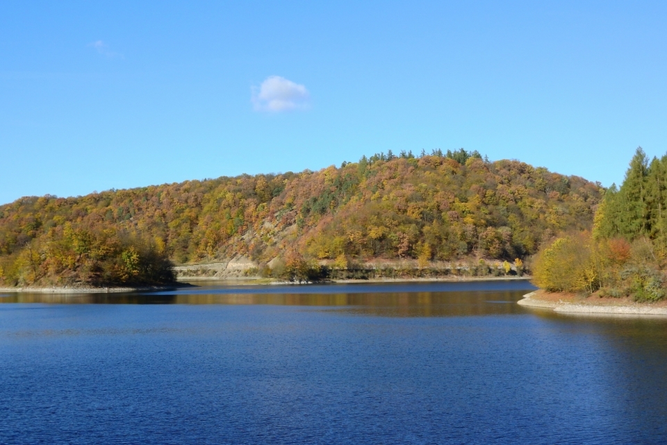 绿色森林山峰湖泊风光美景