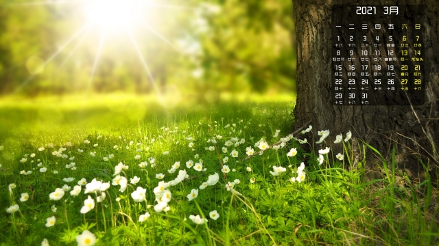 2021年3月清新绿色护眼高清桌面壁纸