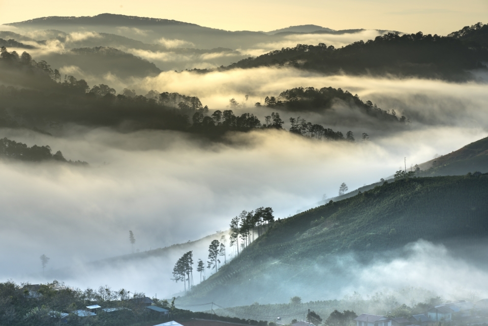 云雾缭绕山间诗意风景特写