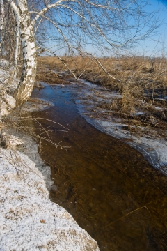 野外枯黄草地溪流冻结冰面外景