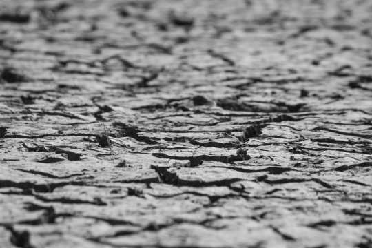 黑白风格干枯荒凉土地自然风光