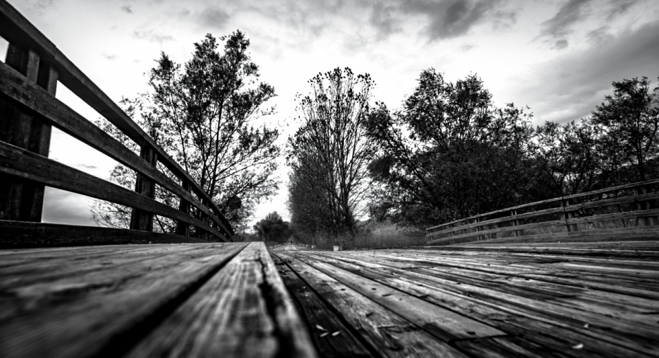黑白郊外木质桥梁树木自然风光