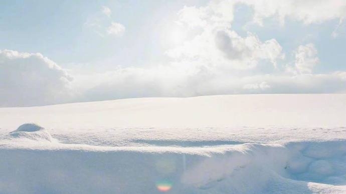 北海道的雪自然风景图片