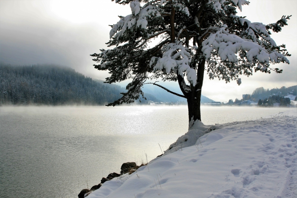 冬天白色雪地树木边湖畔