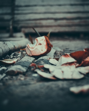 城市街道地面自然落叶木块