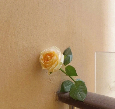 唯美伤感风景写真图片