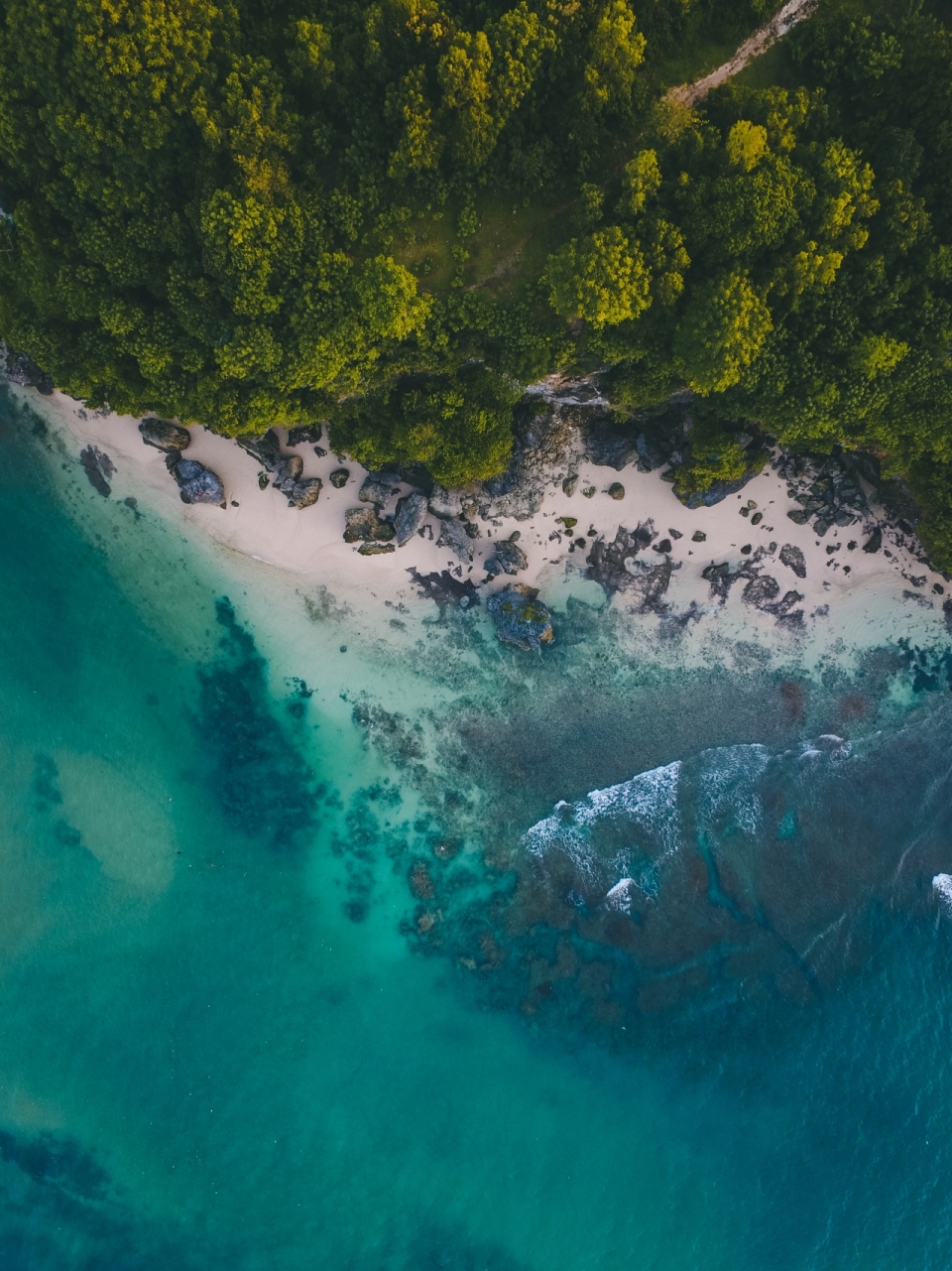 俯瞰热带丛林海边清澈礁石沙滩风景