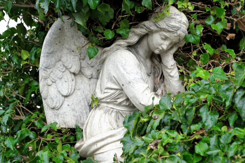 靠在灌木丛中睡觉的天使雕塑石像摄影