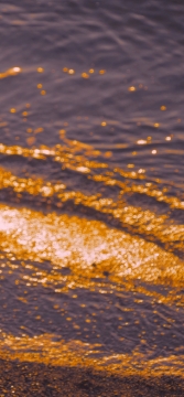 唯美清新手机壁纸