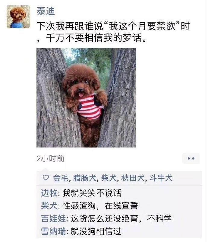 狗狗的朋友圈图片