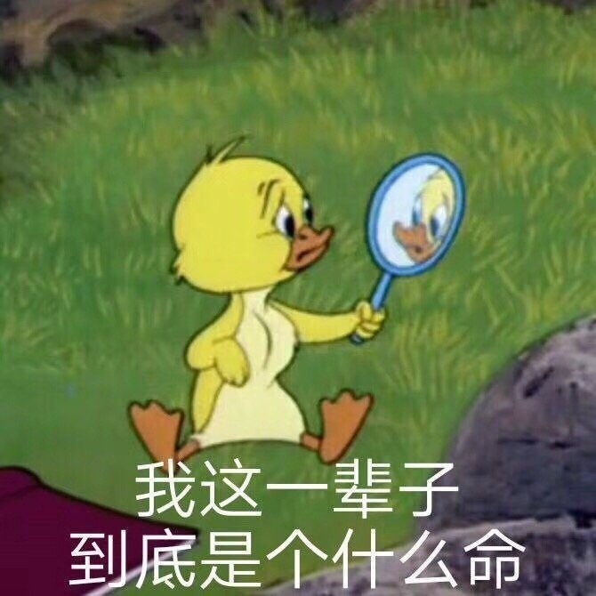 搞笑幽默表情包图片