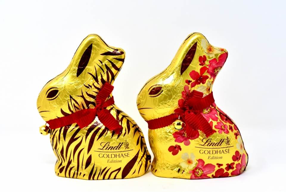 室内白色背景金色兔子造型美味巧克力