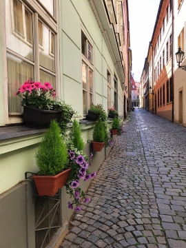 潮湿街道两旁窗台盆栽风光