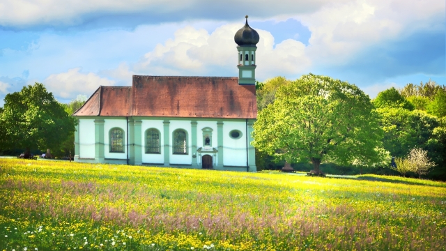 小清新碧绿草坪房屋建筑外景