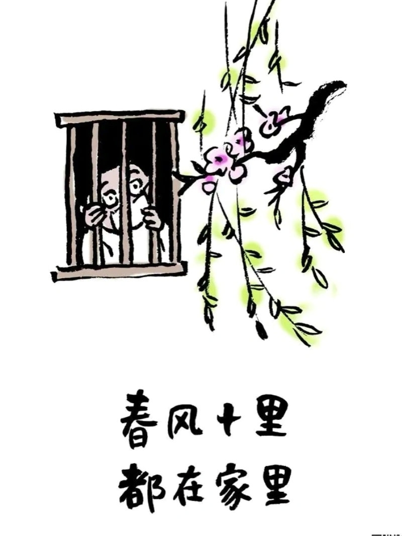 疫情搞笑心酸漫画写真