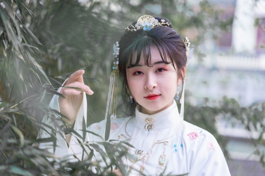 古风步摇流苏美少女