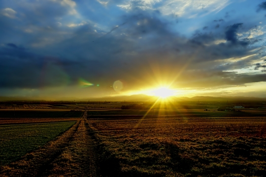 地平线闪耀金色光芒草地植物风光