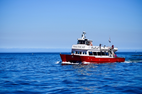 大海中漂浮红色船只高清外景