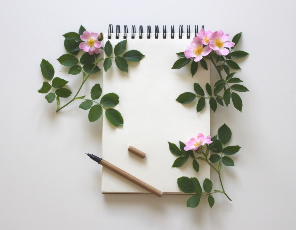 白色桌面空白线圈笔记本笔粉色花朵自然植物