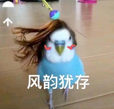 搞笑幽默表情包图片