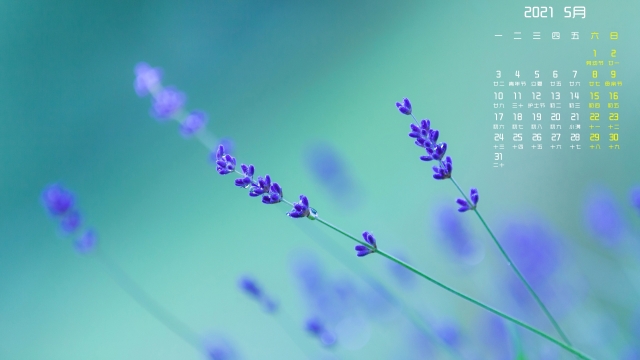 2021年5月唯美植物高清桌面日历壁纸