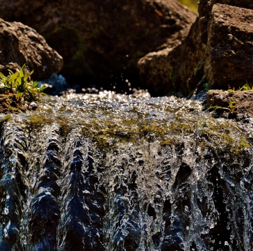 风景摄影_小河流水花高清特写