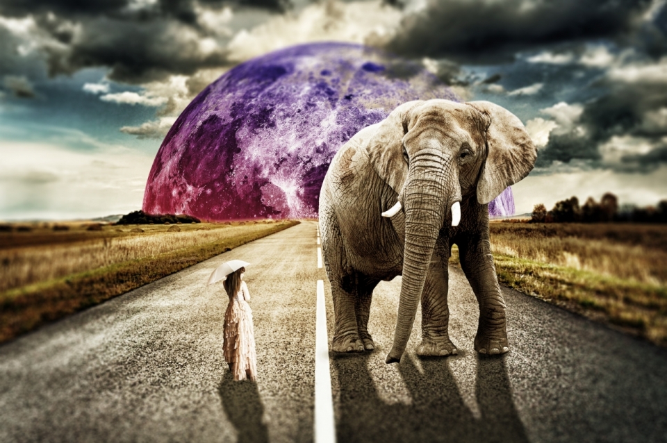 通往迷之星球的马路上站着大象和美女