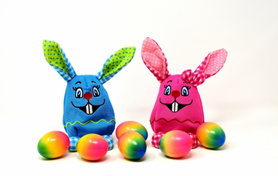 白色背景七彩蛋装饰兔子玩具