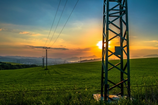 傍晚阳光天空自然绿色草坪户外