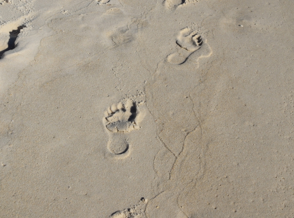 沙滩上走过留下的脚印摄影