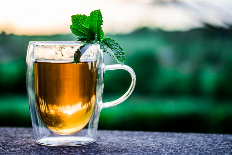 桌上透明玻璃杯中的绿茶上挂着新鲜的茶叶