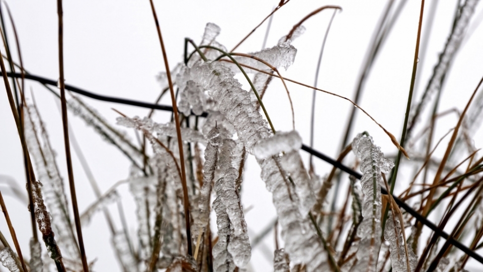 寒冷的冰雪霜冻无水印电脑桌面高清壁纸图片