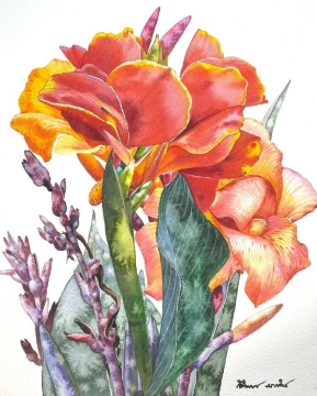 唯美清新插画图片