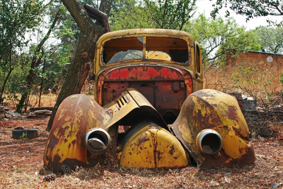 郊外树林中破旧汽车外观特写