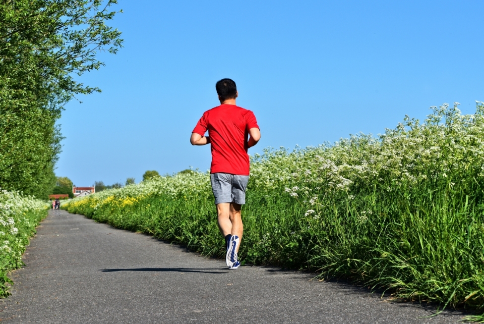 阳光绿色自然植物郊外小路跑步锻炼男性
