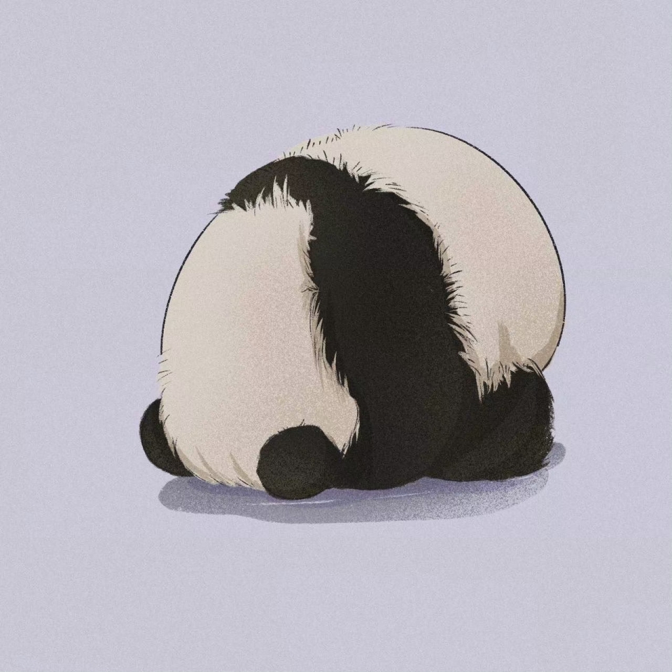 圆滚滚的熊猫写真图片