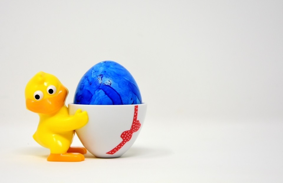白色背景鸭子玩具模型蓝色彩蛋