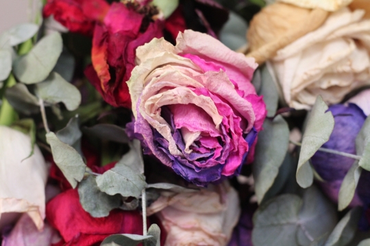 彩色花朵绿色叶子玫瑰植物自然花束