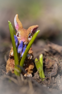 户外自然绿色植物前可爱兔子模型