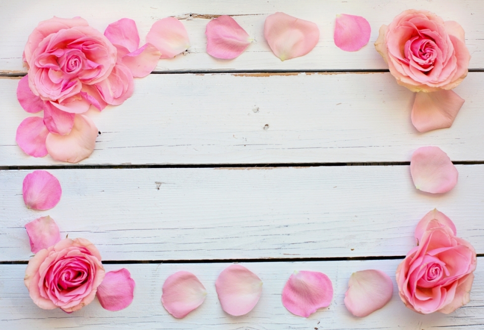 白色木制桌面浪漫粉色玫瑰花朵花瓣