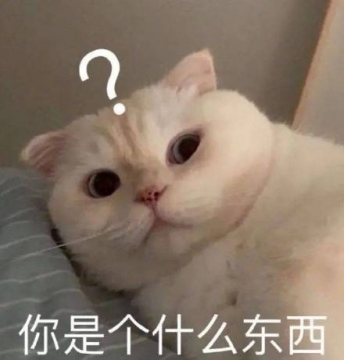 今日份搞笑表情包图片