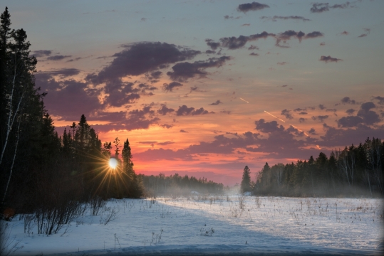 冬季阳光照射洁白树林雪地风光