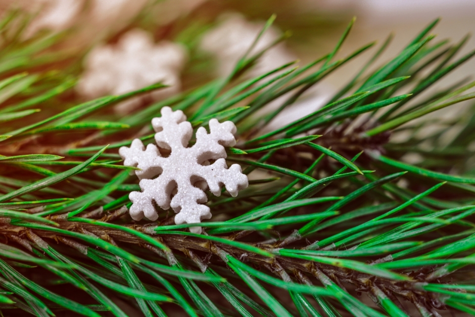 绿色松树叶上白色雪花装饰品