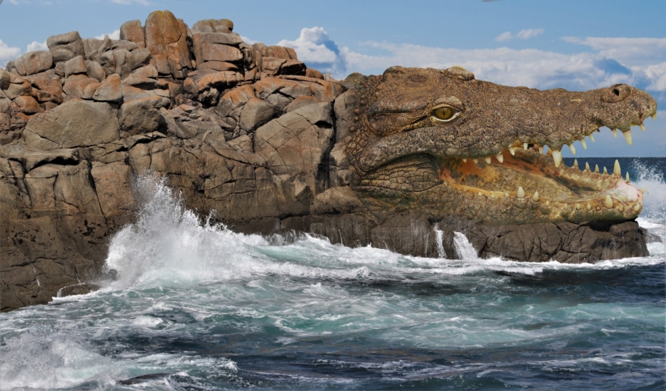 大海海面鳄鱼形态自然岩石