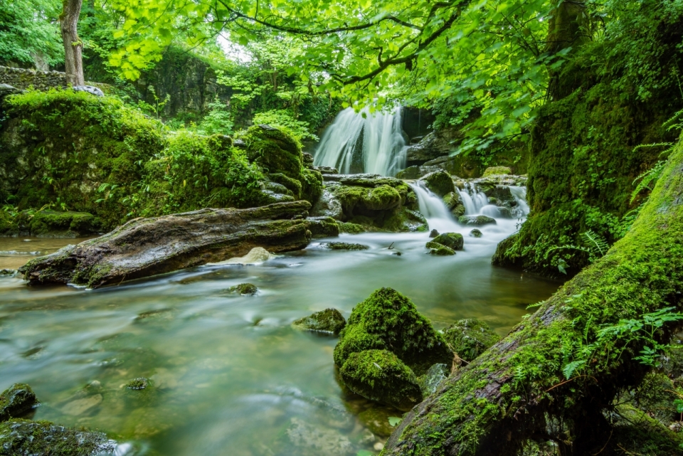 绿色山林中的瀑布溪流风景摄影