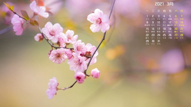 2021年3月春天桃花高清桌面日历壁纸