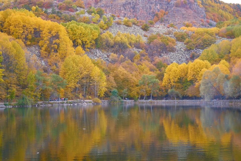 秋天高山湖泊枯黄树叶的树木倒映在水中