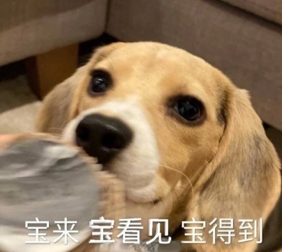 沙雕幽默搞笑表情包图片