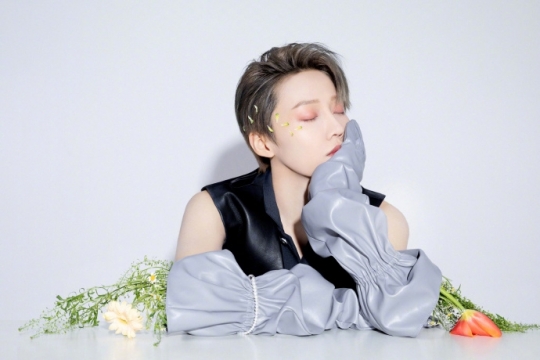 美女明星刘雨昕图片